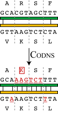 bmc12.png