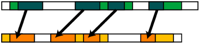 jcb10.png