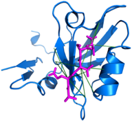 proteins09.png