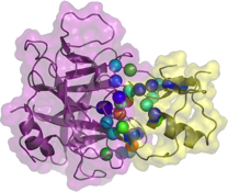 proteins11.png