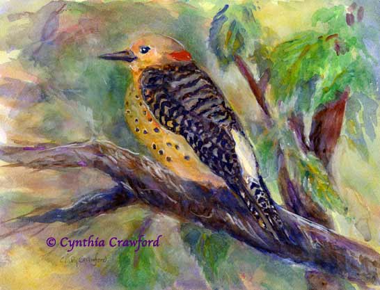 paintings of birds. BIRD Paintings and Prints