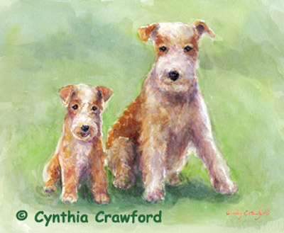 Lakeland Terriers-mom and