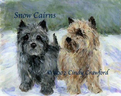 cairn terrier puppies. 2 Cairn Terriers in the