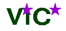 ViC*