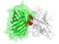 ismb18.png