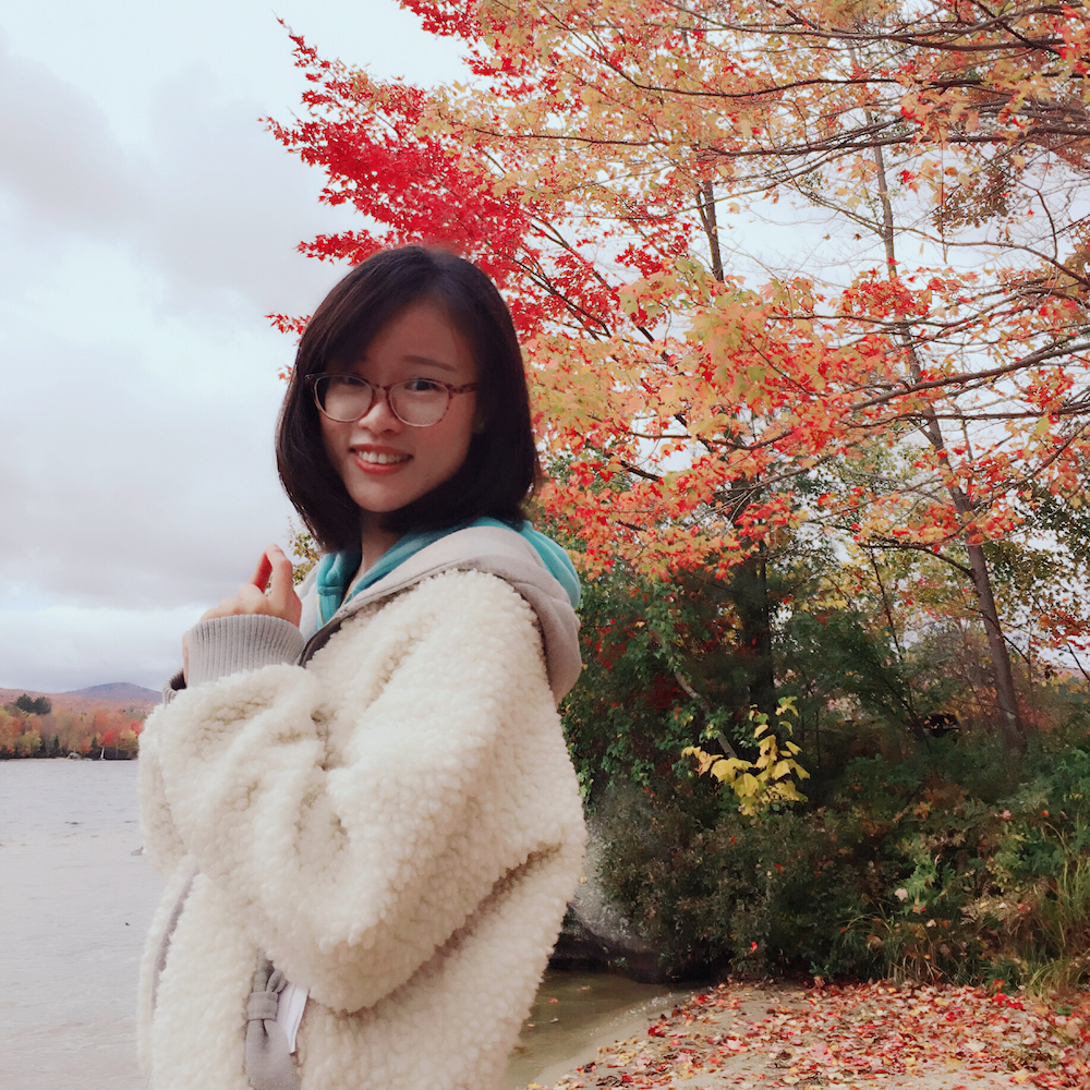 Xiaoting Zou
