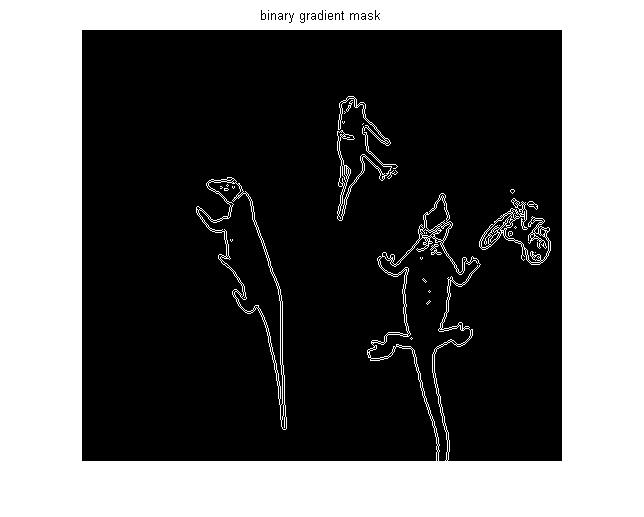 Binary Gradient Mask
