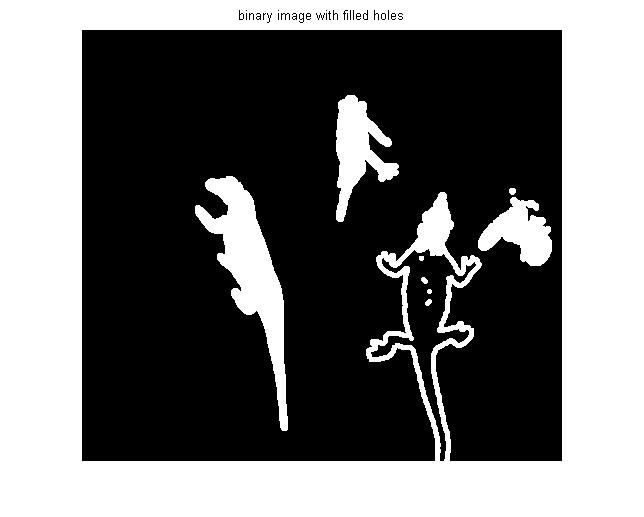 Binary Image with Filled Holes