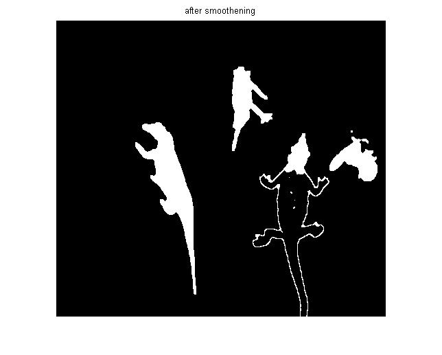 After Smoothening the Image