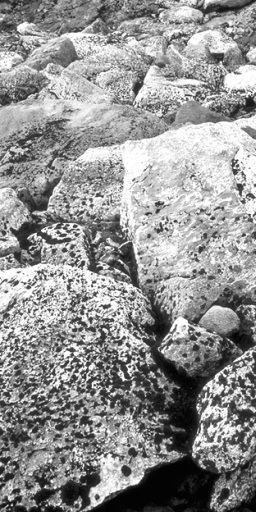 stone