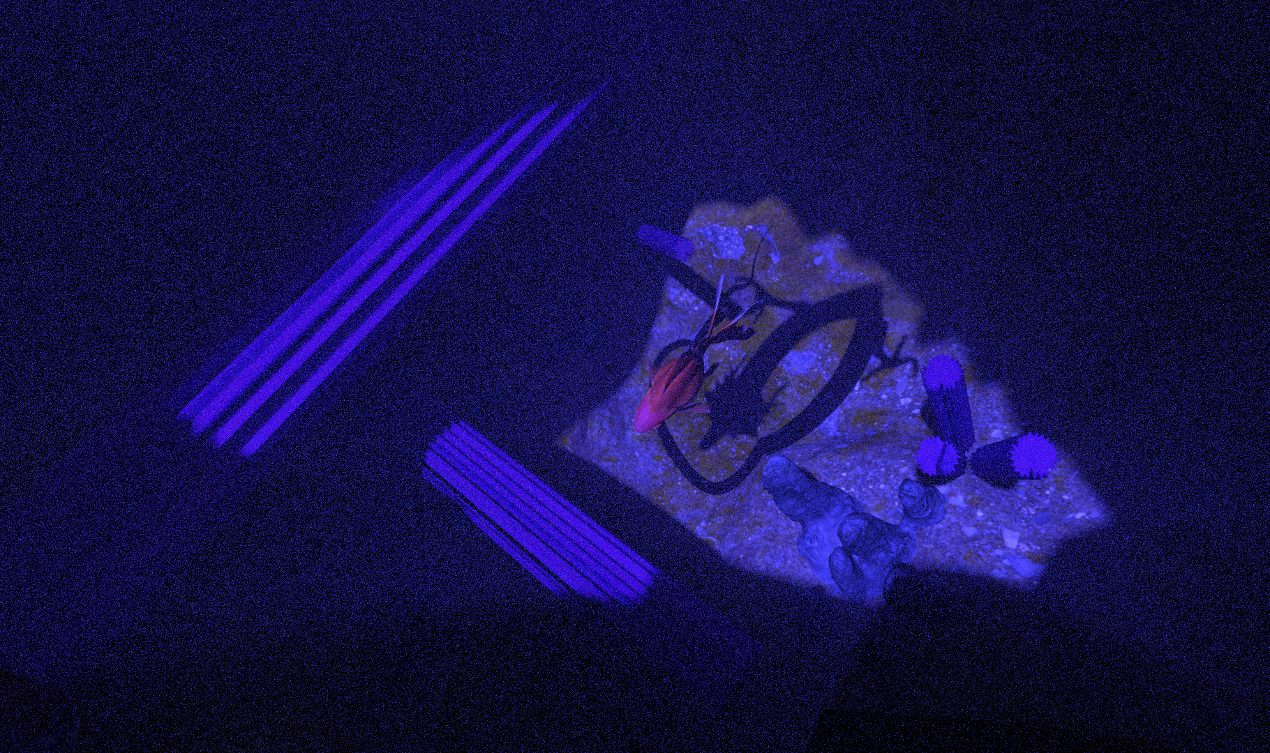 final render