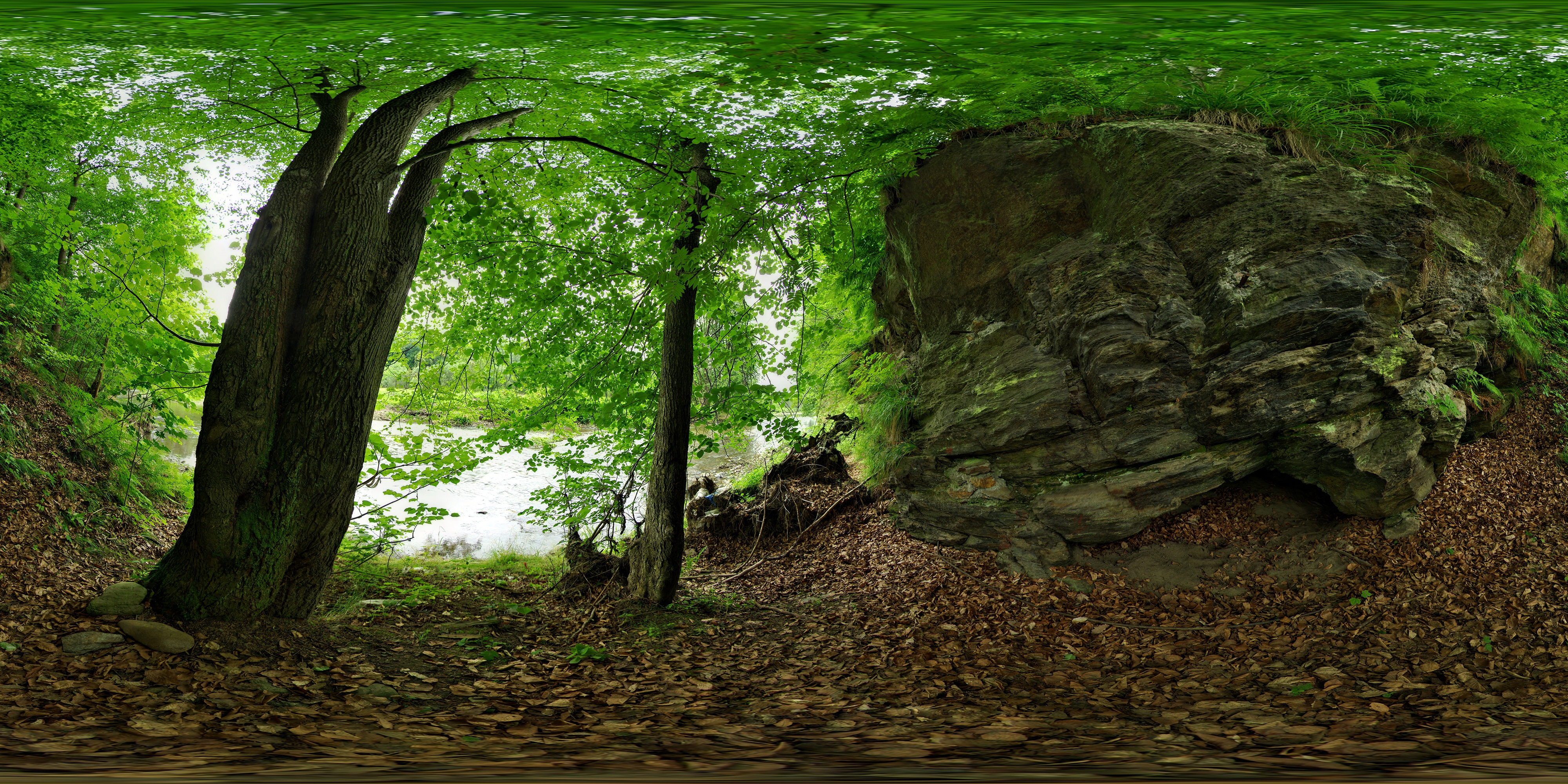 Env Light Map