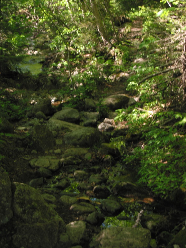 IMG_0783.JPG