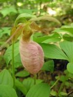 IMG_0764.JPG