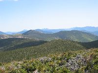 IMG_0774.JPG