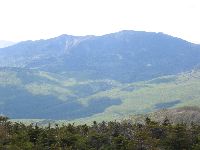IMG_0780.JPG