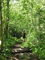 IMG_0781.JPG