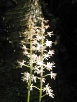 IMG_0782.JPG