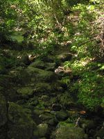 IMG_0783.JPG