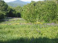 IMG_0788.JPG