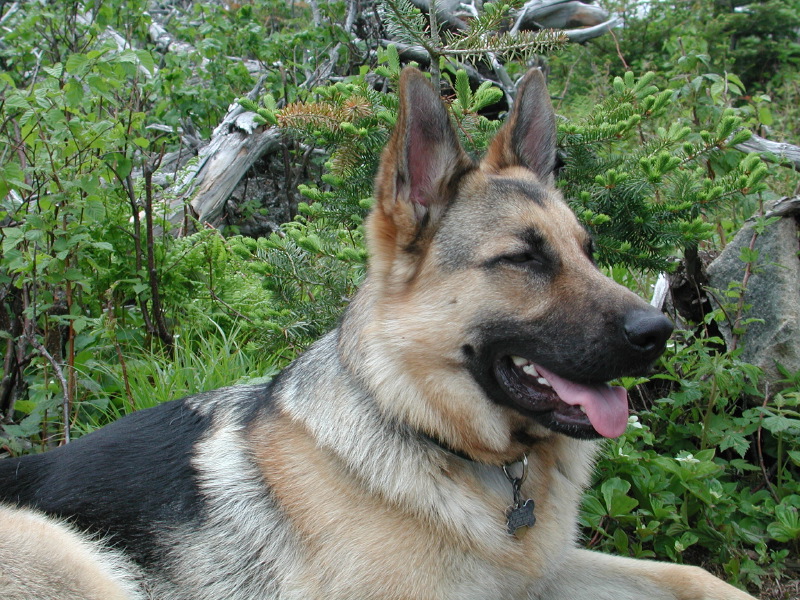 Roll 2 - 15